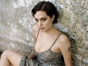 安吉丽娜,全球瞩目的慈善天使与好莱坞巨星