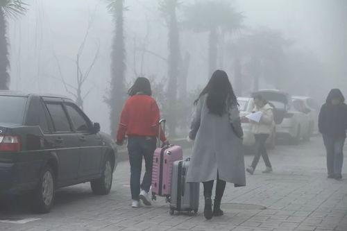 吹不散的是雾隐,探寻神秘雾气的奥秘与传说