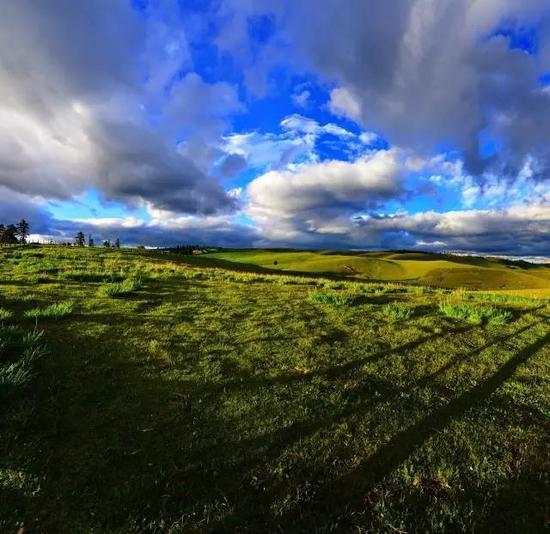 天上草原,云端之上的绿色秘境