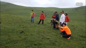 天上草原,云端之上的绿色秘境