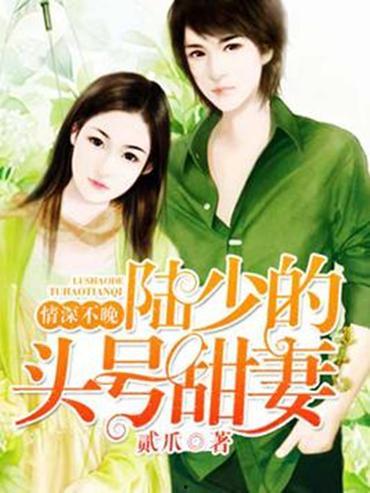 陆少他情深似毒,霸道总裁的虐恋救赎之路